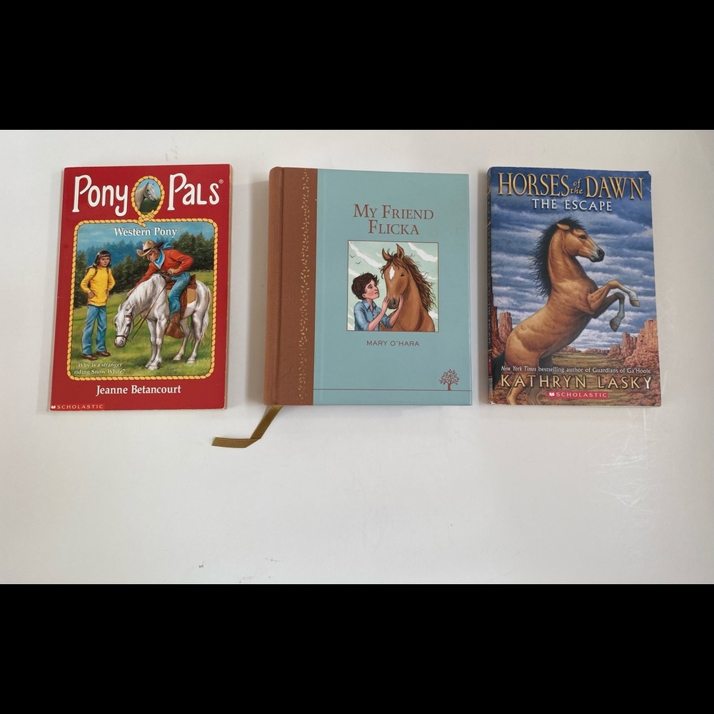 📚 2/$12 Set of Three Horse Books